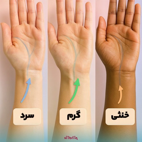 آندرتون یا زیرتن پوست 